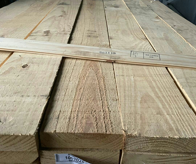 乐昌阿根廷松木